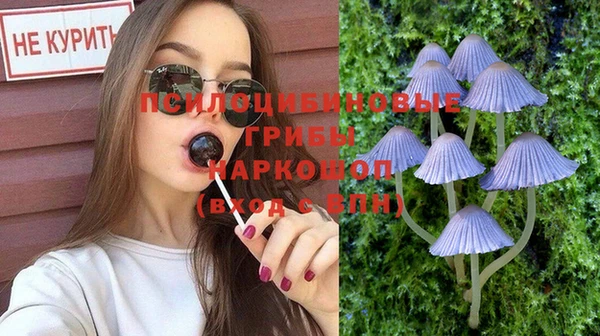a pvp Алексеевка