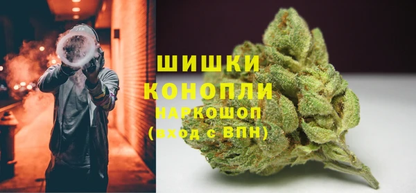трава Алзамай